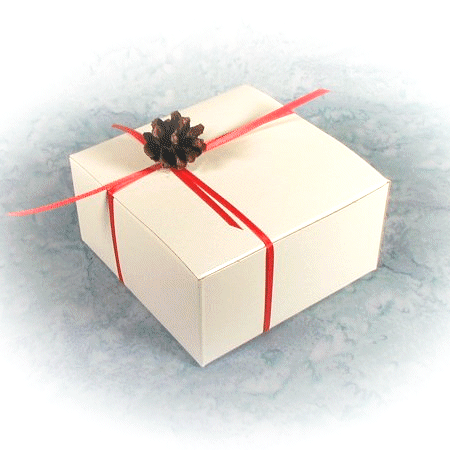 pine cone and red ribbon box
