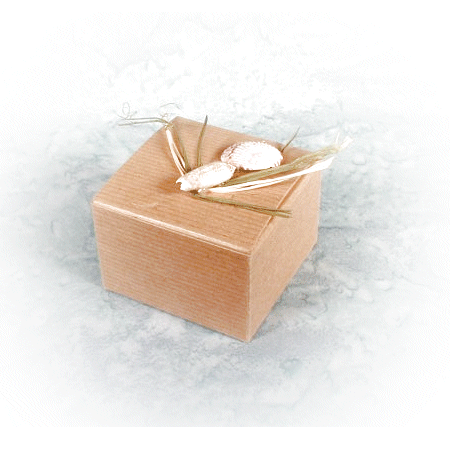 sea shell decorated box